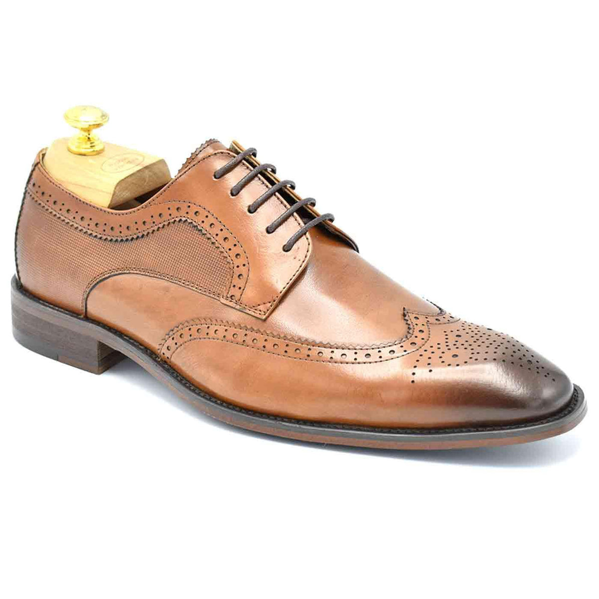 Paolo Vandini Gerard Brogue Leather Shoe - Tan